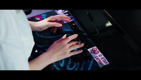 ストリートファイターリーグ: Pro-JP 2024 WP許諾済み