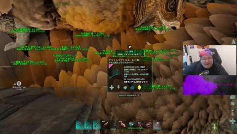 土井鯖ARK 6日目 bossいきたい