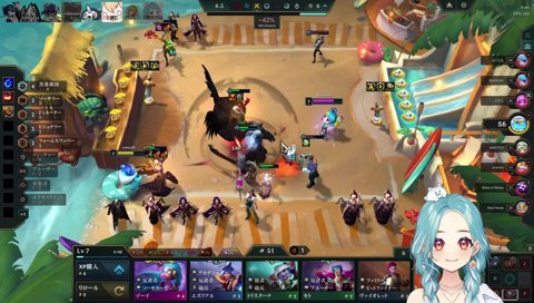 たぬきファイトタクティクス本番