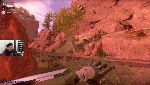 船酔いしているメロコ