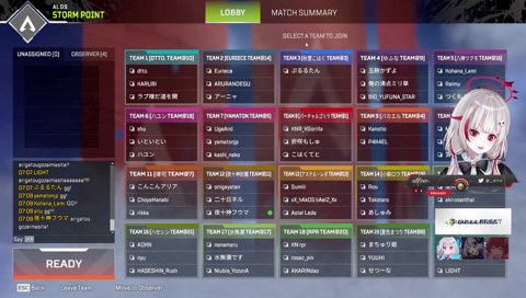 殴りあうペットたち