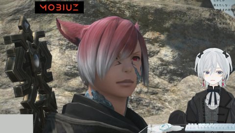 ウリエンジェを見逃す猫麦