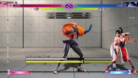 ファン太さん逝く