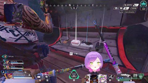 Mainyにブタ野郎と言っていた人はSとMどっちでしょーか？