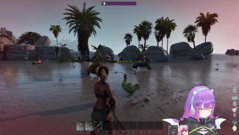 さっそくカメに分からされるトワ様