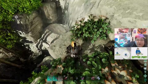 ハチハチパニック！！