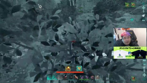 TP巻き込み事故