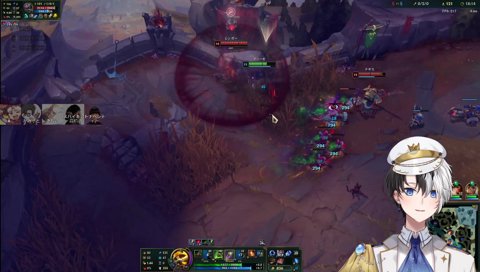 草むらでハイドし続けるタヌキ