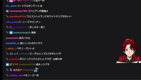 「可愛い～！」