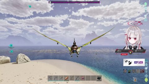 かめ探し中‥かめ発見？