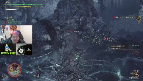 高位置からこんにちは♪