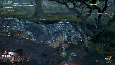 ガンランス様のフルコン