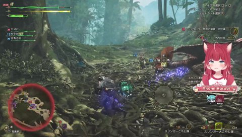 オオヌシ：イャンクック