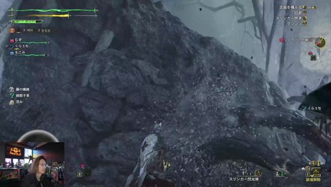 かなかなのタマタマ