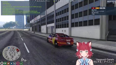 会話出来ないりりむ