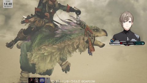 身体能力高めの猫🐈