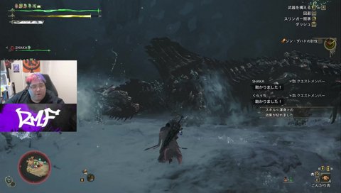 大剣:傷口ダメ記録