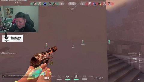 野生のねこたつ