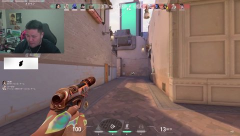 野良ねこたつと遭遇