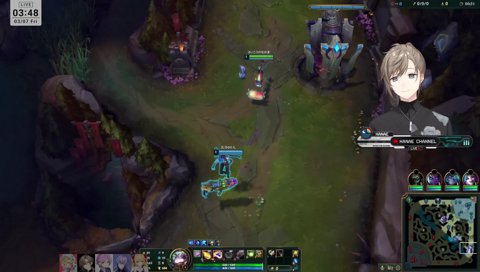 相手は犬派だった模様