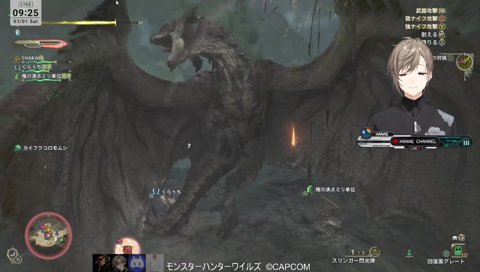 ダメージ…989出ちゃったw