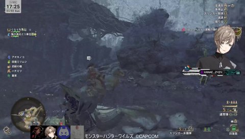 純度100%ヒト族ヒト科