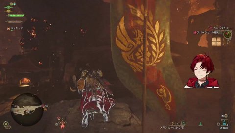 ﾄﾝｸｽ。柊ﾄﾝｸｽ。