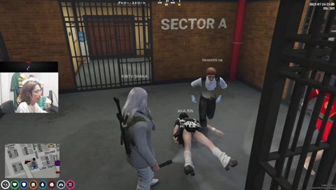 メッタ刺しにされるあかりん