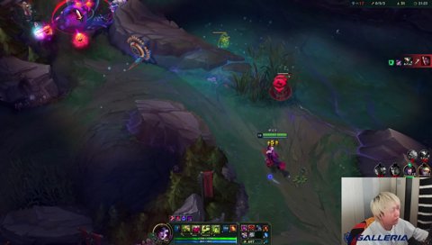 らい様の教え 基本的にはジャングルと一緒に動く