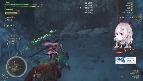 แมงมุมจับเหยื่อ