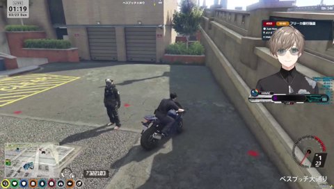 久しぶりの犬ルリと夏苗くん