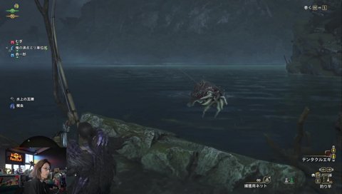 でっかぁ（ニュウドウイカ）