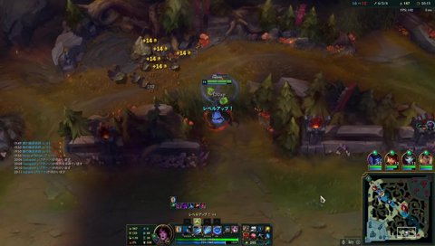 羽靴の理由「全部避けるため」