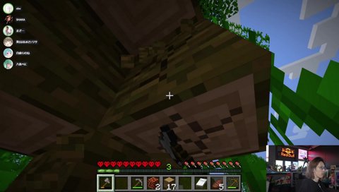 大蛇丸（？）らむち