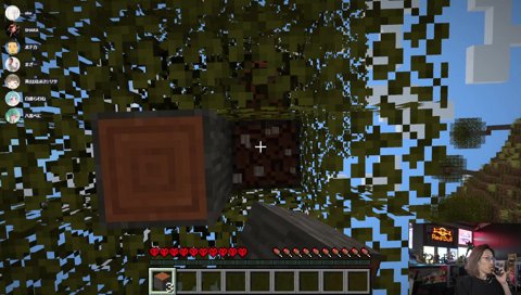 VDK「おい!!見てないで助けろ!!」