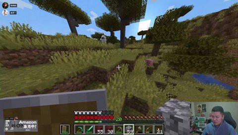 まるで赤ちゃんアルマジdrだな…