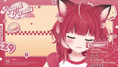 Switchのソフトを発掘してくるかるび