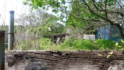 被弾するカメラ