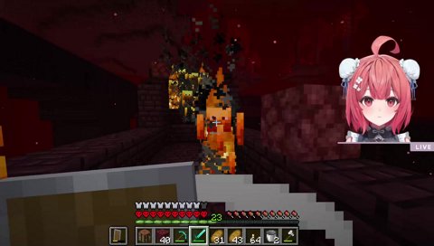 突如あらわれたブタで乙るあかりん