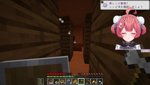 パンじゃなくて構えて盾を！