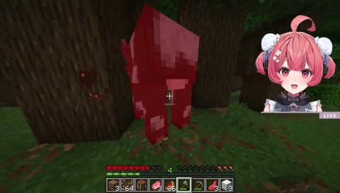 スナイプスケさん