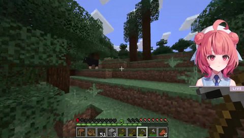 あかりんはスイートベリーの棘が刺さって死んだ