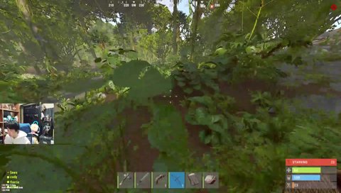 Rustターザン現る