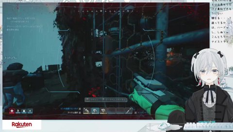 錯乱したこはちゃん