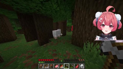 スナイプにやられるあかりん