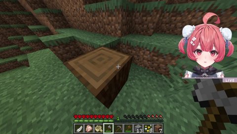 これには猿もびっくり