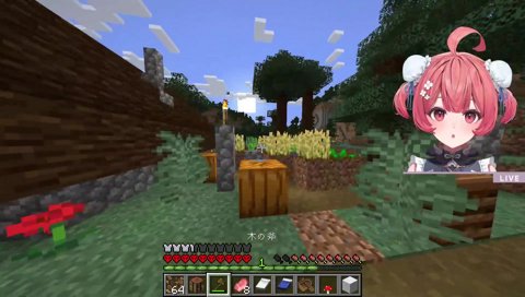 盾ない！（特攻）