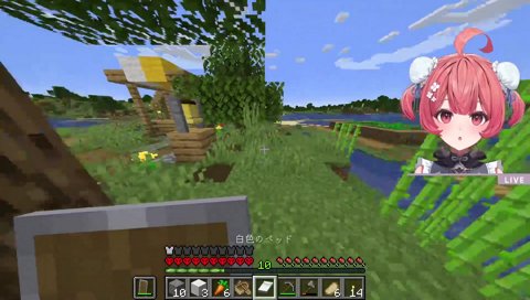 きも過ぎる自覚ある