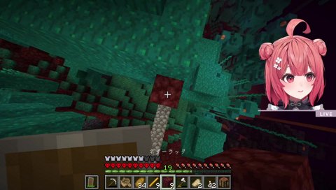 あかりん、帰還