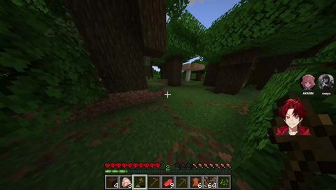 娘、父、母の猫会議